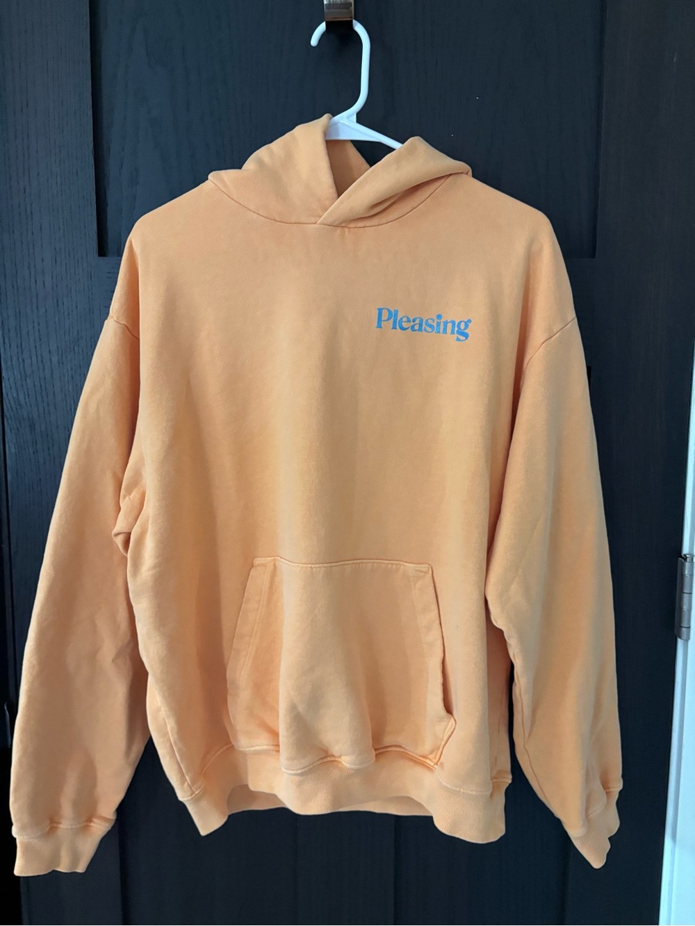 Pleasing sunset hoodie